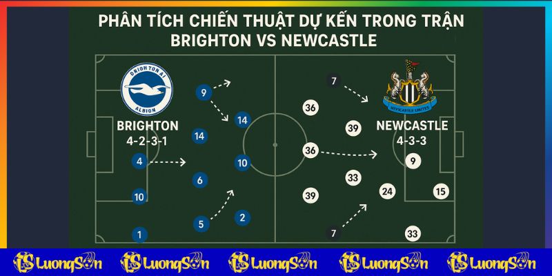 Phân tích chiến thuật Brighton vs Newcastle